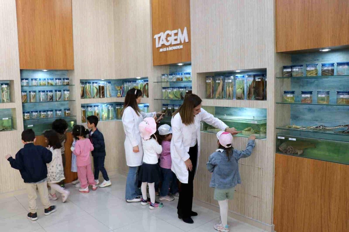 Elazığ'da minik öğrenciler Balık Müzesi'ni gezdi