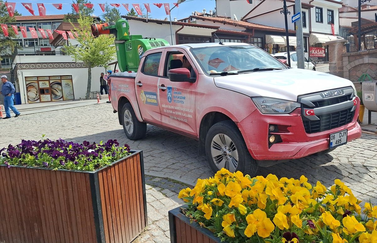 Güdül'de haşereyle mücadele çalışmaları sürüyor