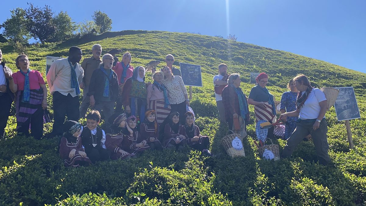 Rize'de Çay Hasadı Şenlikle Karşılandı: 100 Yaşındaki Nine İlk Yaprağı Topladı, Bir Çiftçi Çay Filiziyle Evlenme Teklifi Etti