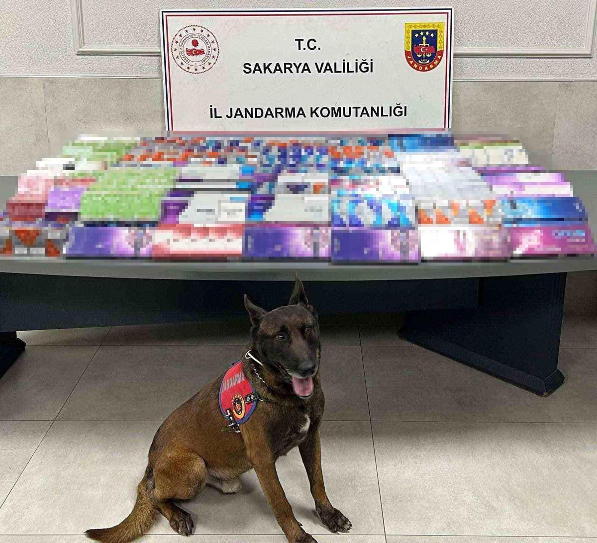 Sakarya'da kaçakçılığa jandarma izin vermiyor