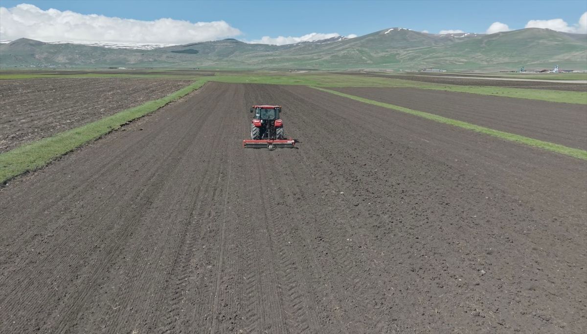 Uzun kışın ardından havaların ısındığı Ardahan'da tarlalarda ekim hareketliliği