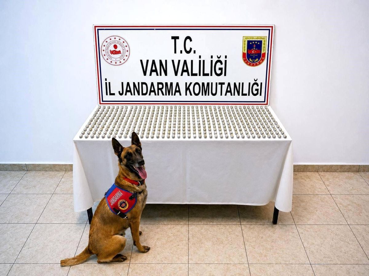 Van'da 8 İranlı'nın midesinde 3 kilo esrar ele geçirildi