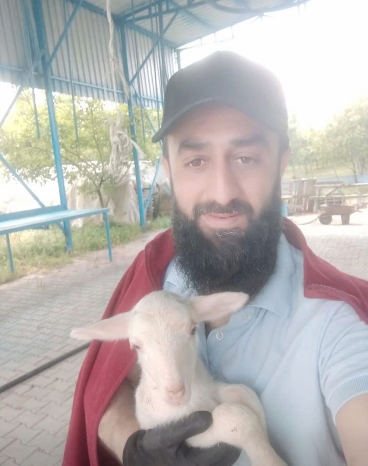 Orhangazi'de 4 araçlı zincirleme kaza: 1 ölü, 4 yaralı