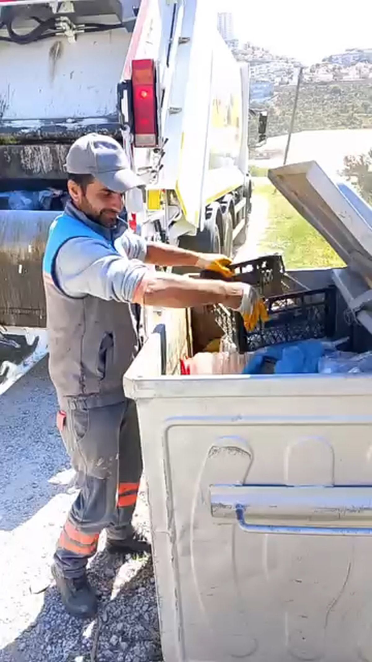 Alanya'da çöpe atılan kaplumbağa kurtarıldı