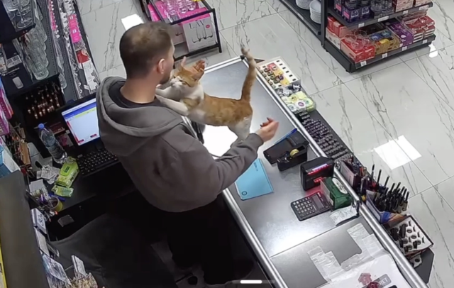 dukkaninin onunde buldugu kedi 19860892 5514 1 m