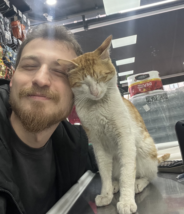dukkaninin onunde buldugu kedi 19860892 9161 1 m