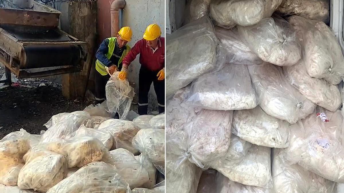 Tam 1 ton 200 kilo! Ekipler hemen el koydu