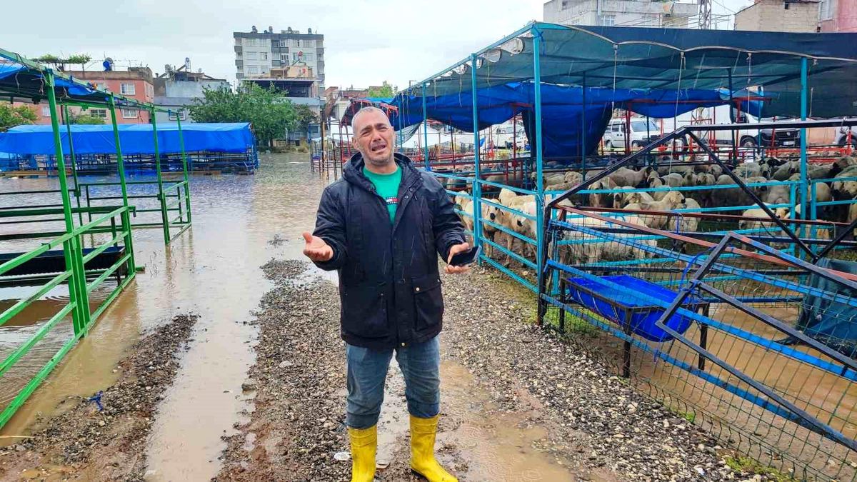 Adana'da kurban pazarını sel vurdu, besici gözyaşlarına boğuldu