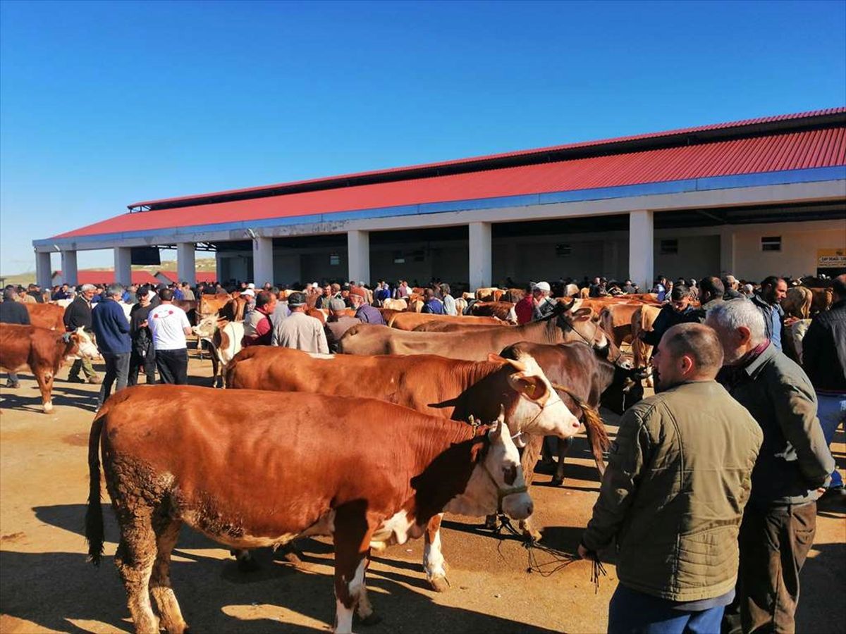 Bayburt'ta Kurban Bayramı hazırlıkları sürüyor