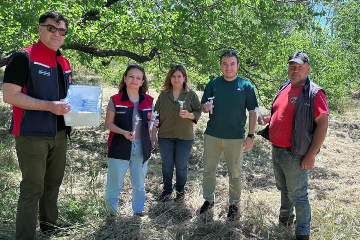 Ve 'samuraylar' göreve başladı
