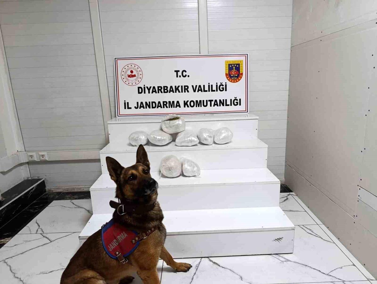 Diyarbakır'da narkotik operasyonu: 150 şüpheli hakkında yasal işlem