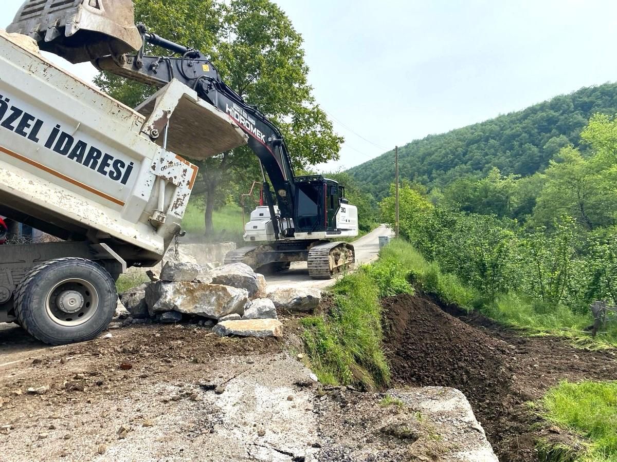 Düzce'de aşırı yağışlar heyelana neden oldu