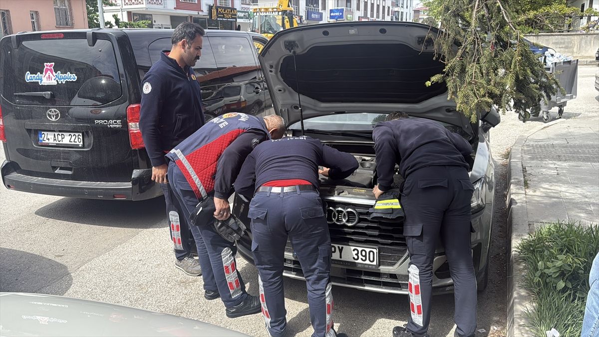 İtfaiyenin kurtarmaya çalıştığı kedi yavrusunu annesi uzaklaştırdı