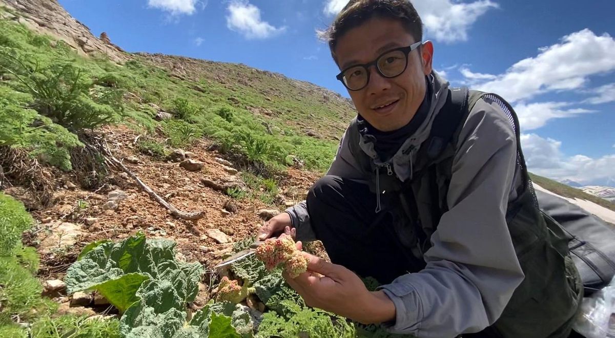 Japonya'dan Yüksekova'ya uzanan doğa yolculuğu