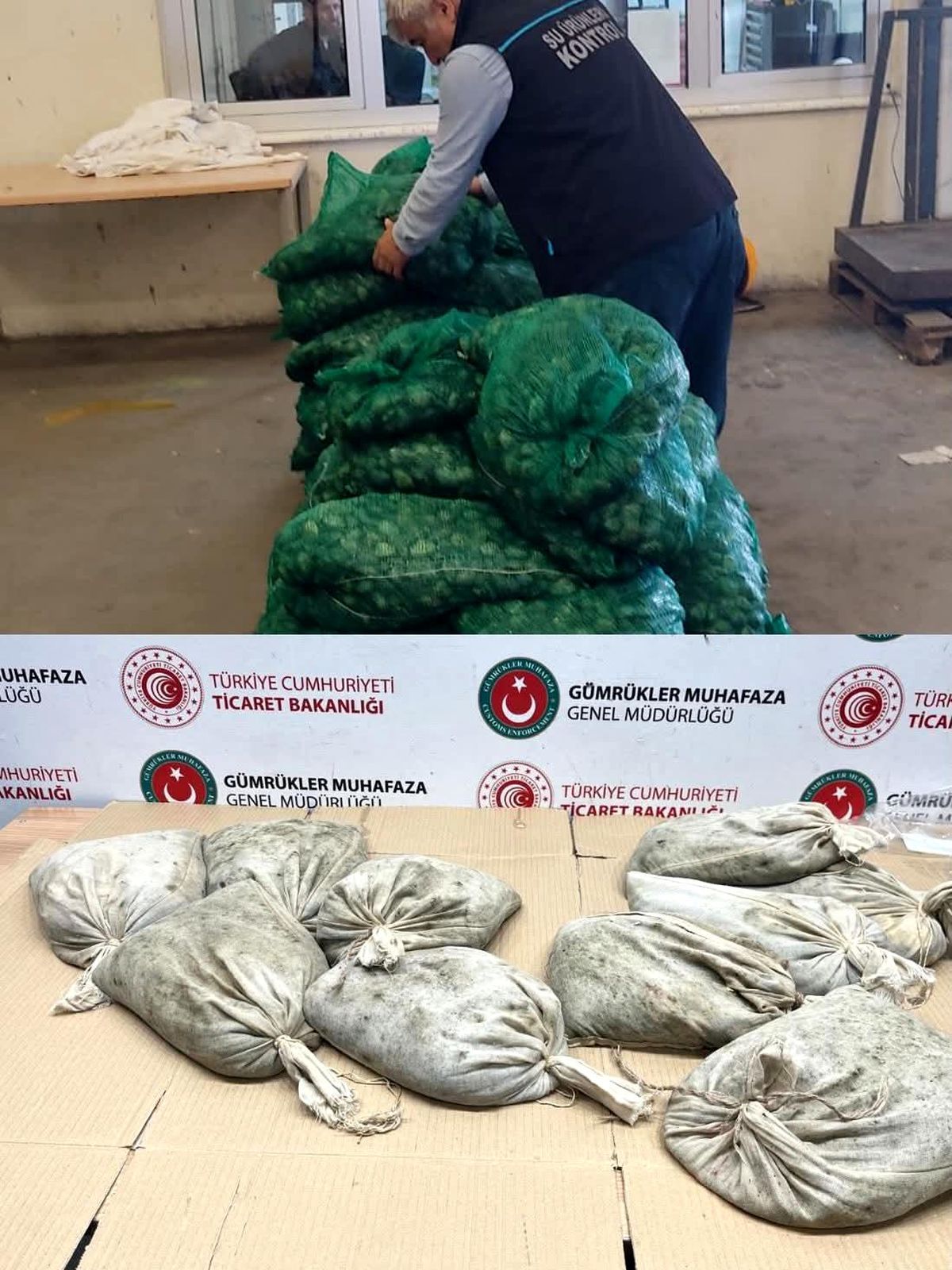 Kapıkule'de 760 kilo kaçak midye ele geçirildi