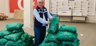Kapıkule'de 760 kilogram kum midyesi ele geçirildi