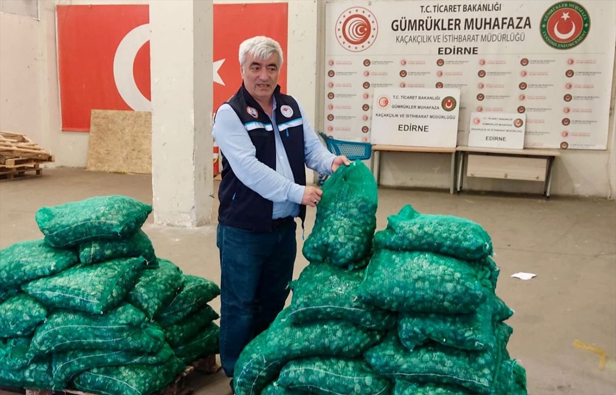 Kapıkule'de 760 kilogram kum midyesi ele geçirildi