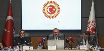 TBMM Okul Saldırılarının Nedenlerini Araştırma Komisyonu, akademisyenleri dinledi