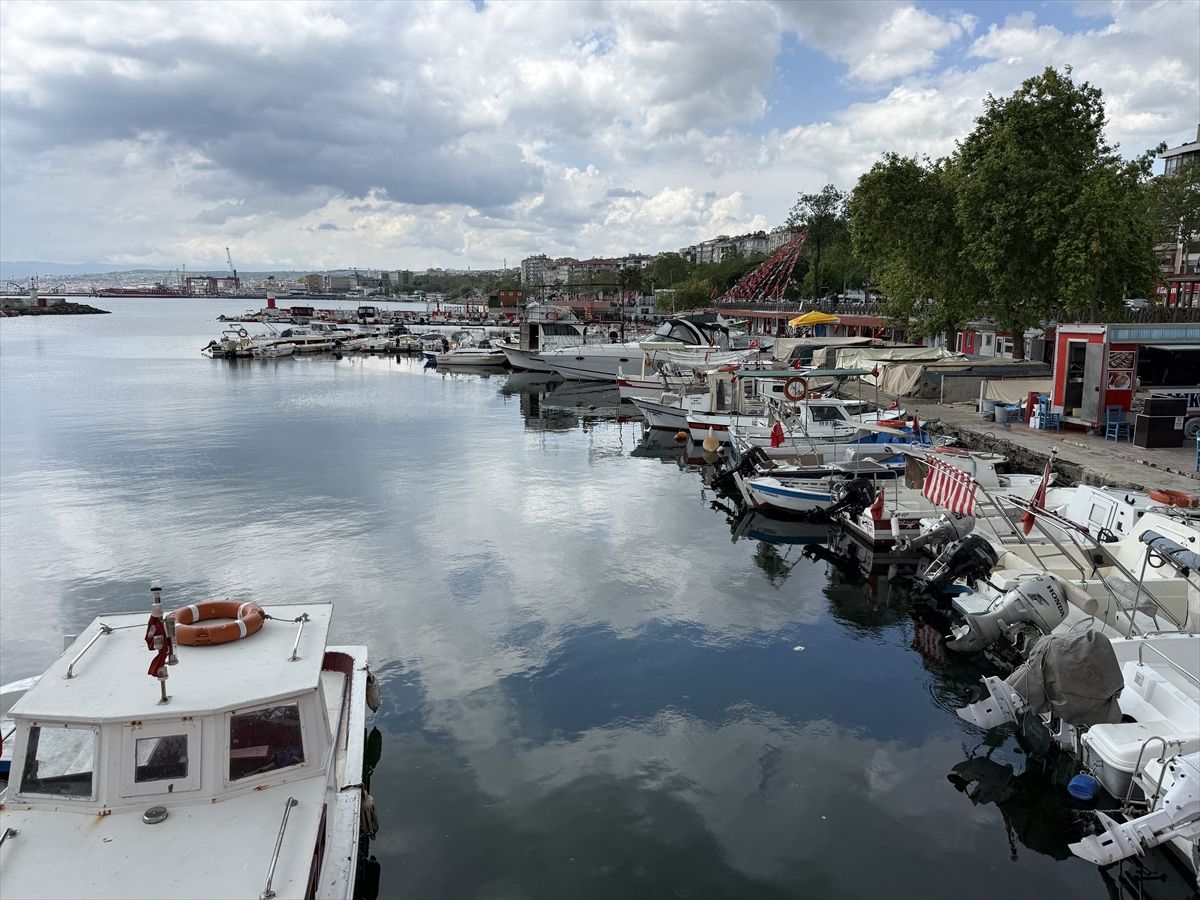 Tekirdağ'da küçük teknelerle avlanan istavrit tezgahların gözdesi