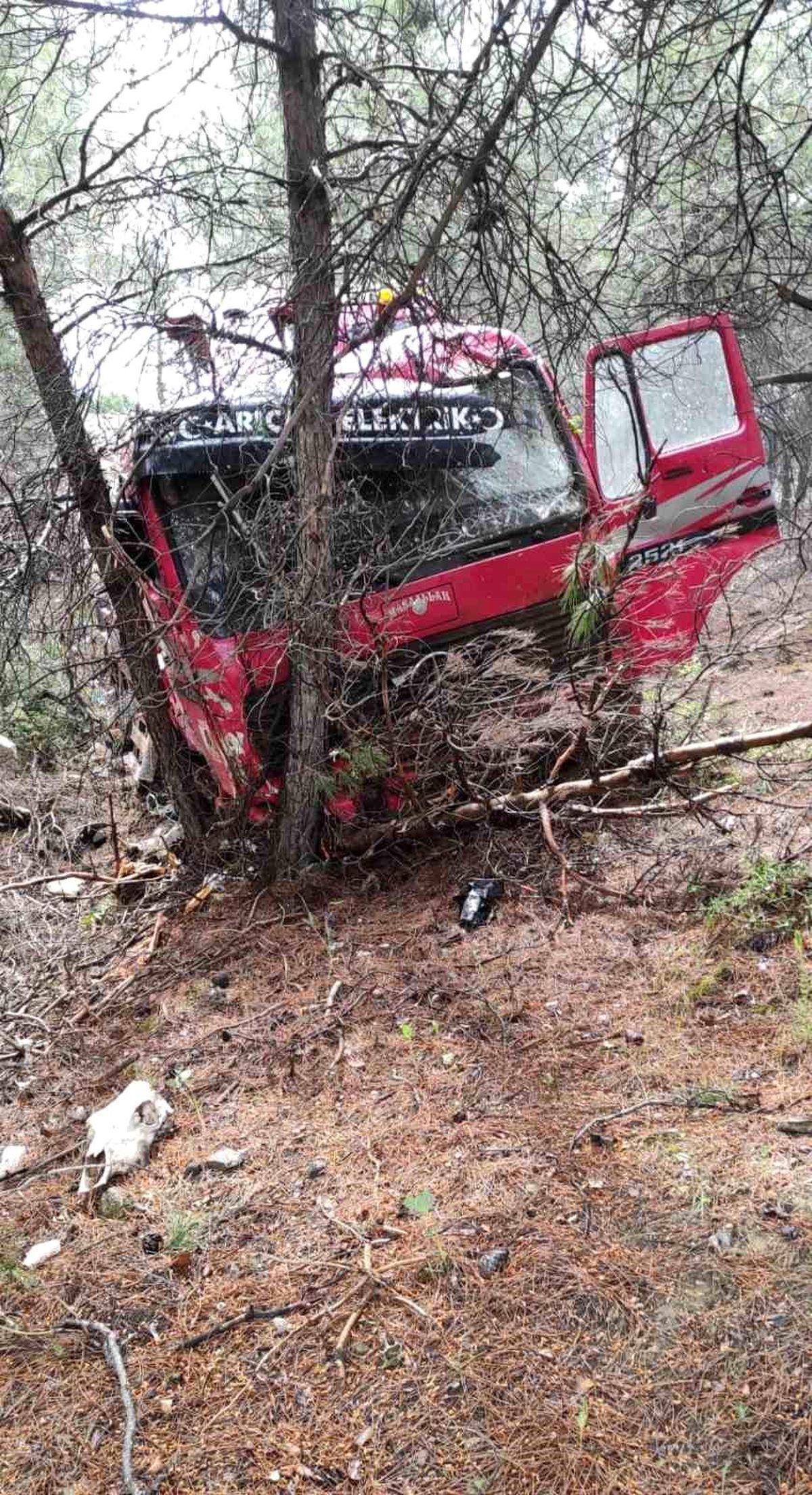 Yoldan çıkan vinç ormanlık alana daldı