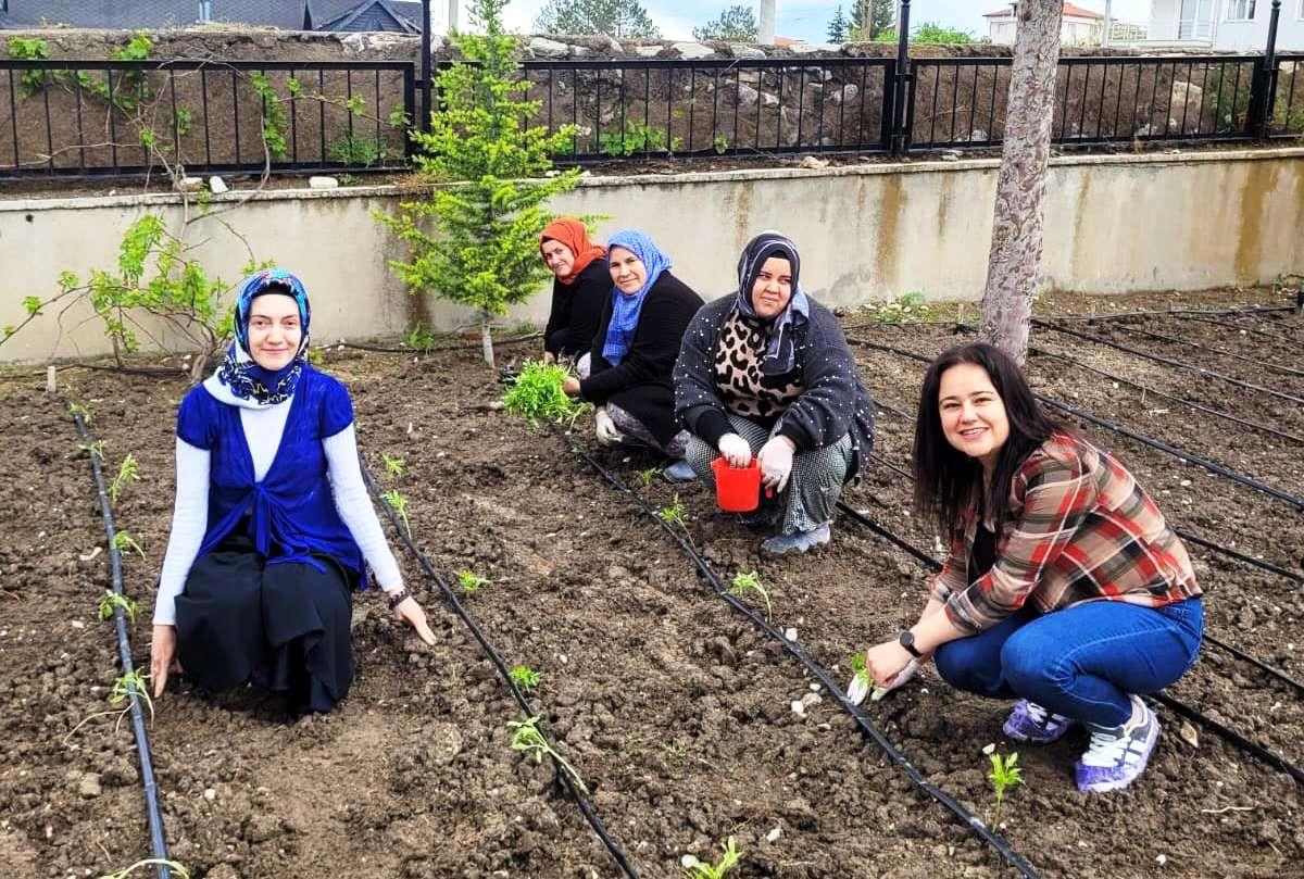 Altıntaş'ta öğretmenler domates fidelerini toprakla buluşturdu