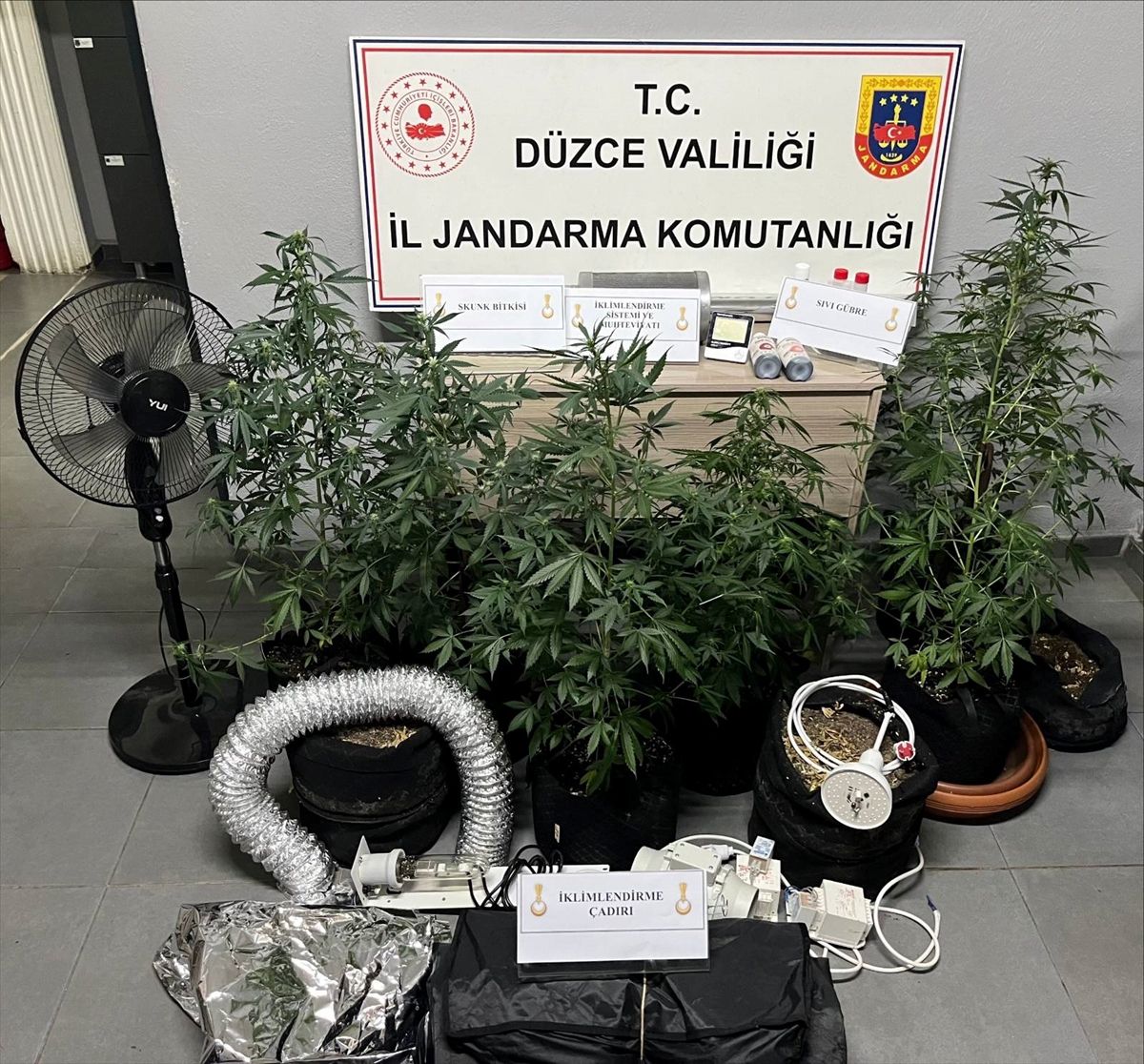 Düzce'de evine uyuşturucu yetiştirmek için düzenek kuran şüpheli yakalandı