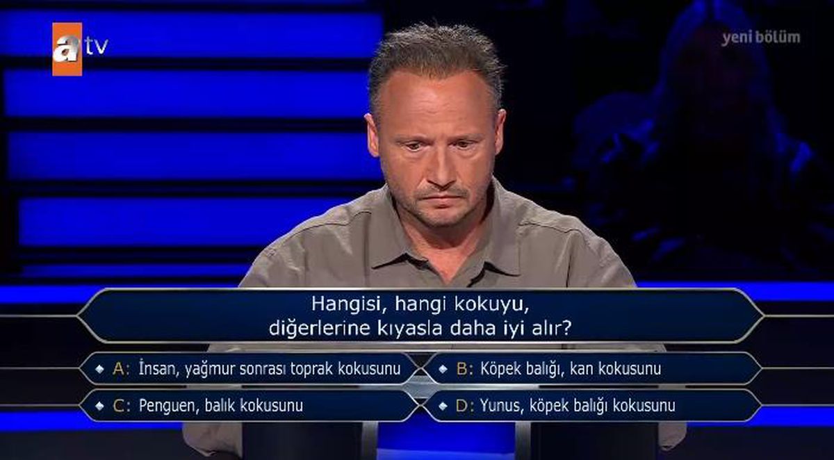 Hangisi, hangi kokuyu, diğerlerine kıyasla daha iyi alır (İnsan, yağmur sonrası toprak kokusunu, Köpek balığı, kan kokusunu, Penguen, Yunus )?
