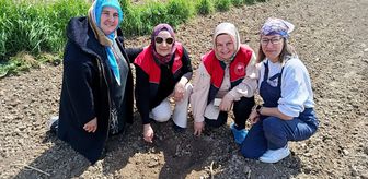 Kırklareli'nden kısa kısa