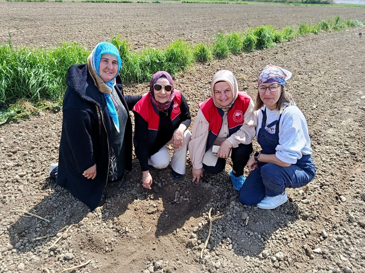 Kırklareli'nden kısa kısa