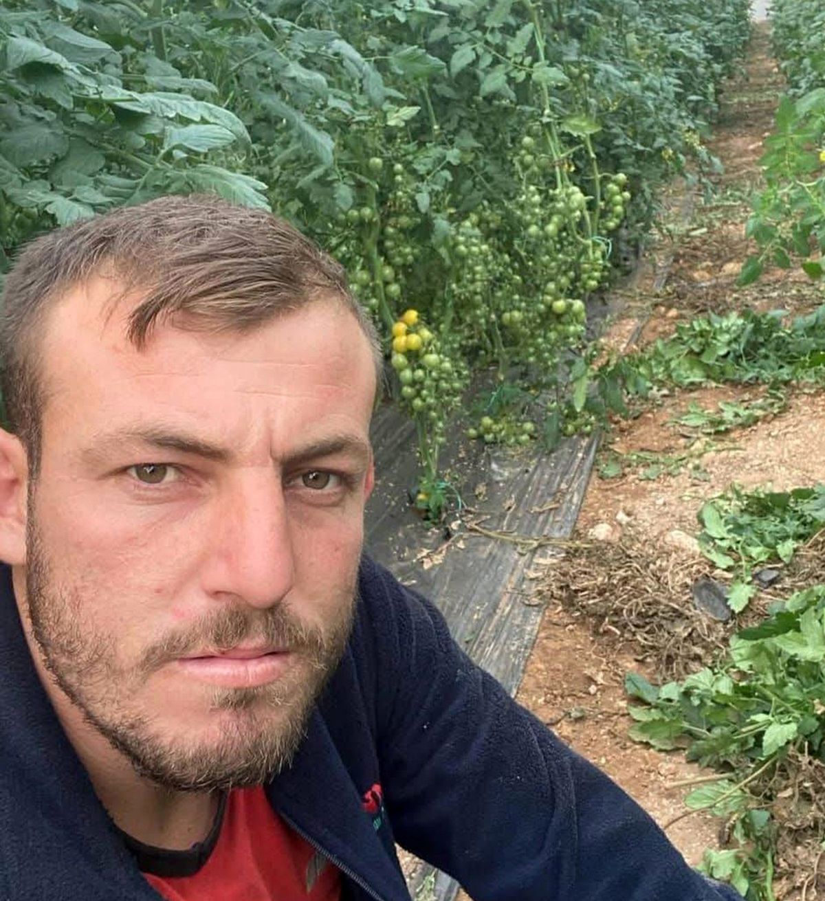 Kızının eski sevgilisini öldürmekten yargılanan sanık için savcı müebbet istedi