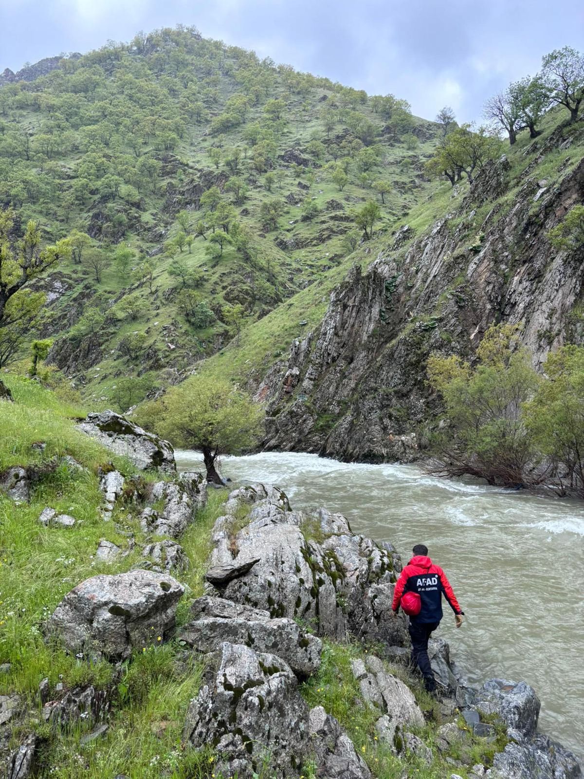 Muş'ta Köprüden Düşen Kadın İçin Arama Çalışmaları Sürüyor