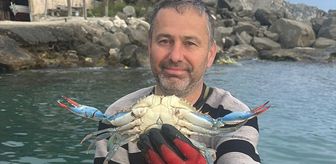 Karadeniz'de Nadir Görülen Mavi Yengeç Balıkçıların Ağına Takıldı