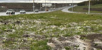 Ardahan'da sağanak ve dolu etkili oldu