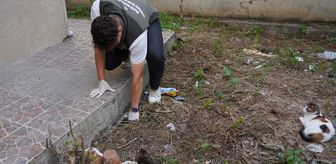 Bilecik'te mazgala sıkışan kedi yavruları kurtarıldı