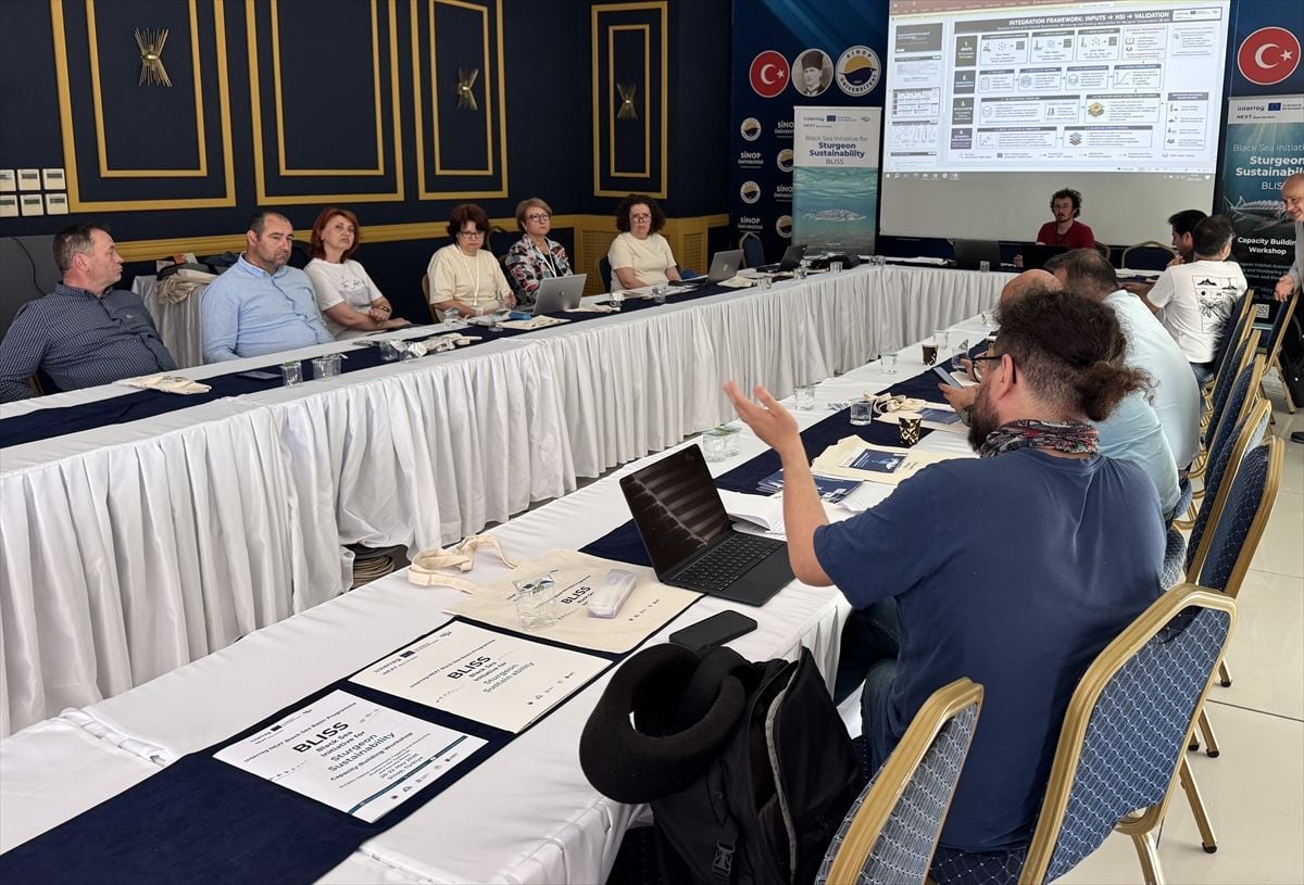 Bilim insanları mersin balığının geleceği için Sinop'ta buluştu