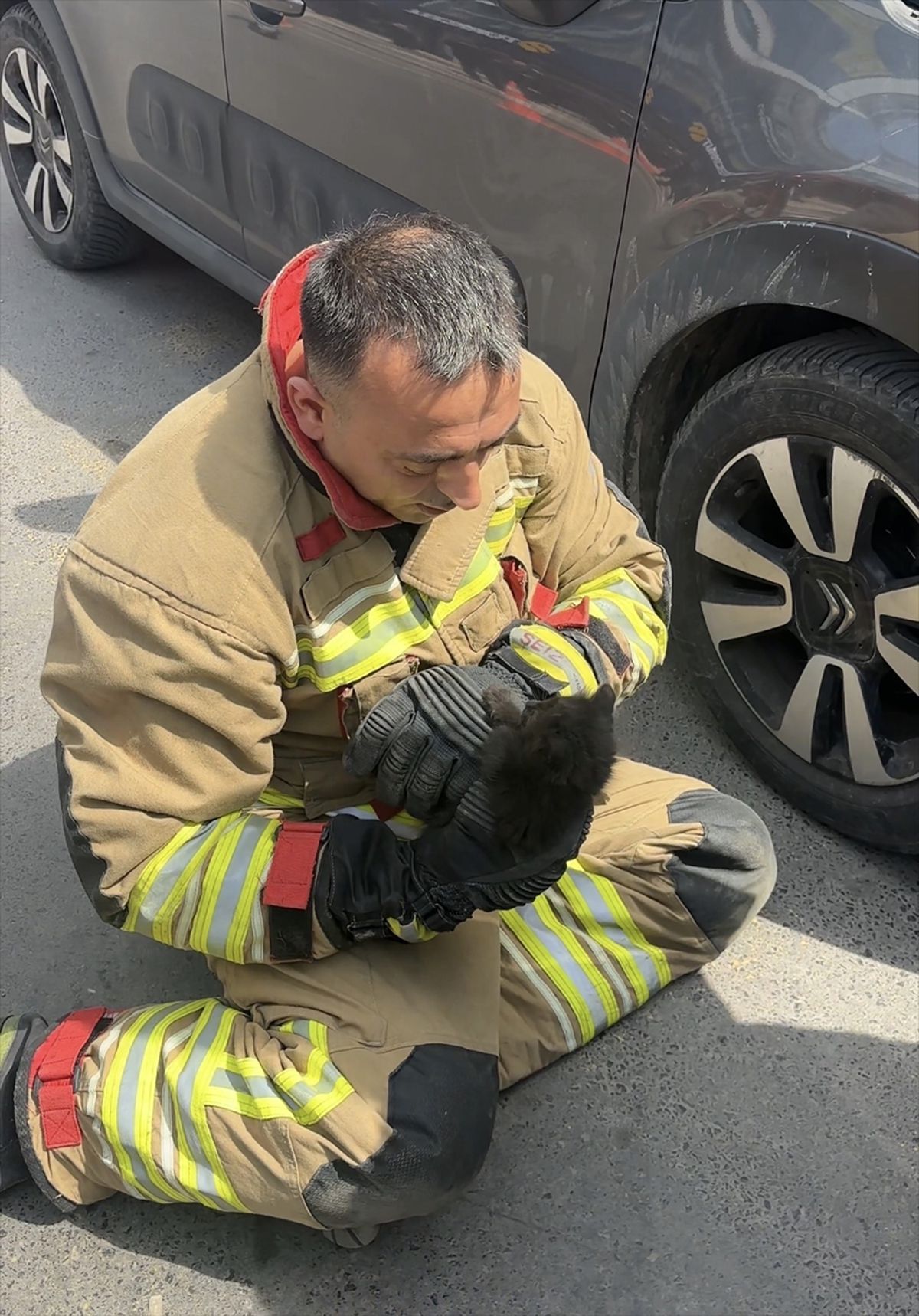 Düzce'de aracın motor bölümüne giren kedi yavrusu kurtarıldı
