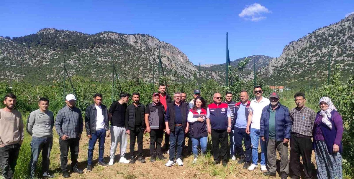 Eğirdir'de budama ve aşılama kursuna yoğun ilgi