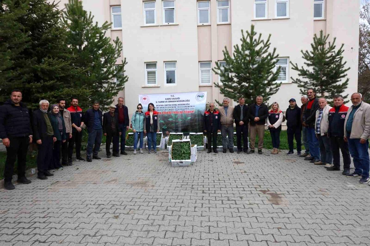 Kars'ta sebze üretimine destek: Binlerce fide üreticiyle buluştu