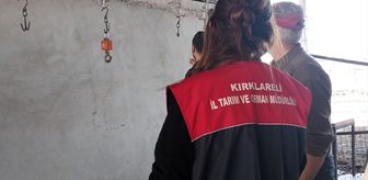 Kırklareli'nde kurban kesim ve satış yerleri denetlendi