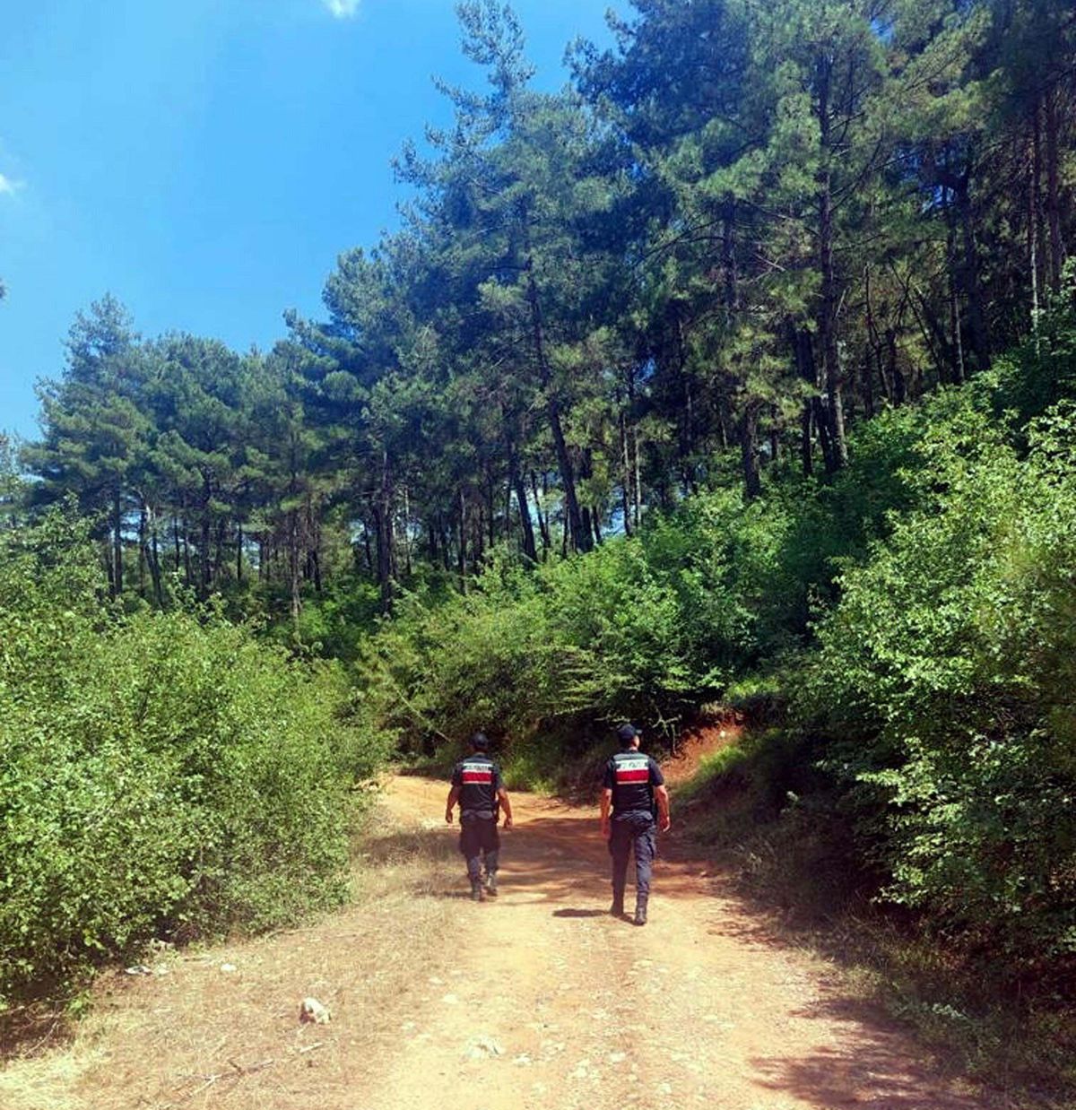 Muğla'da ormanlara giriş yasağı