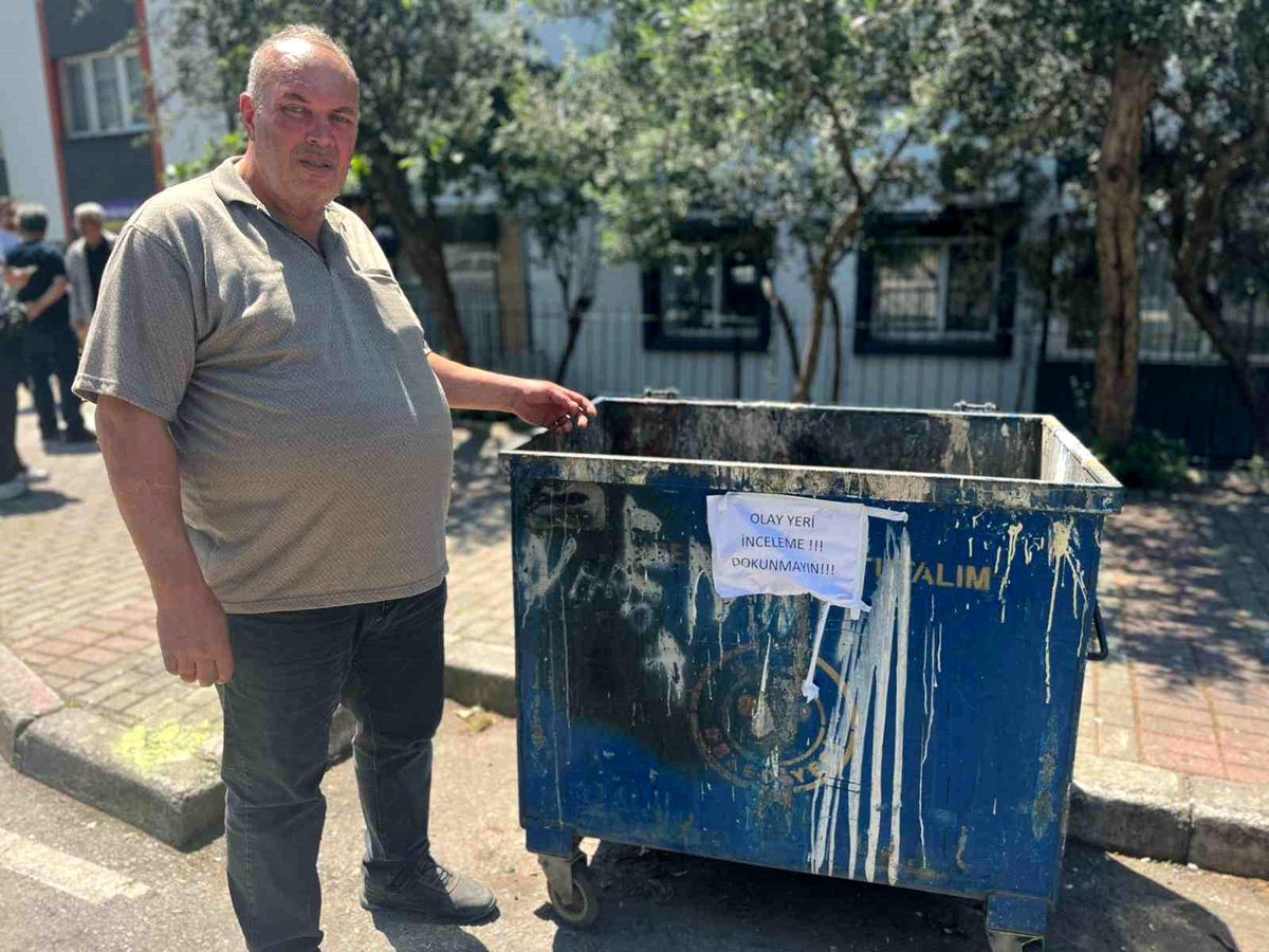 Poşetler içinde bulunan 33 ölü kedi ile ilgili soruşturma başlatıldı