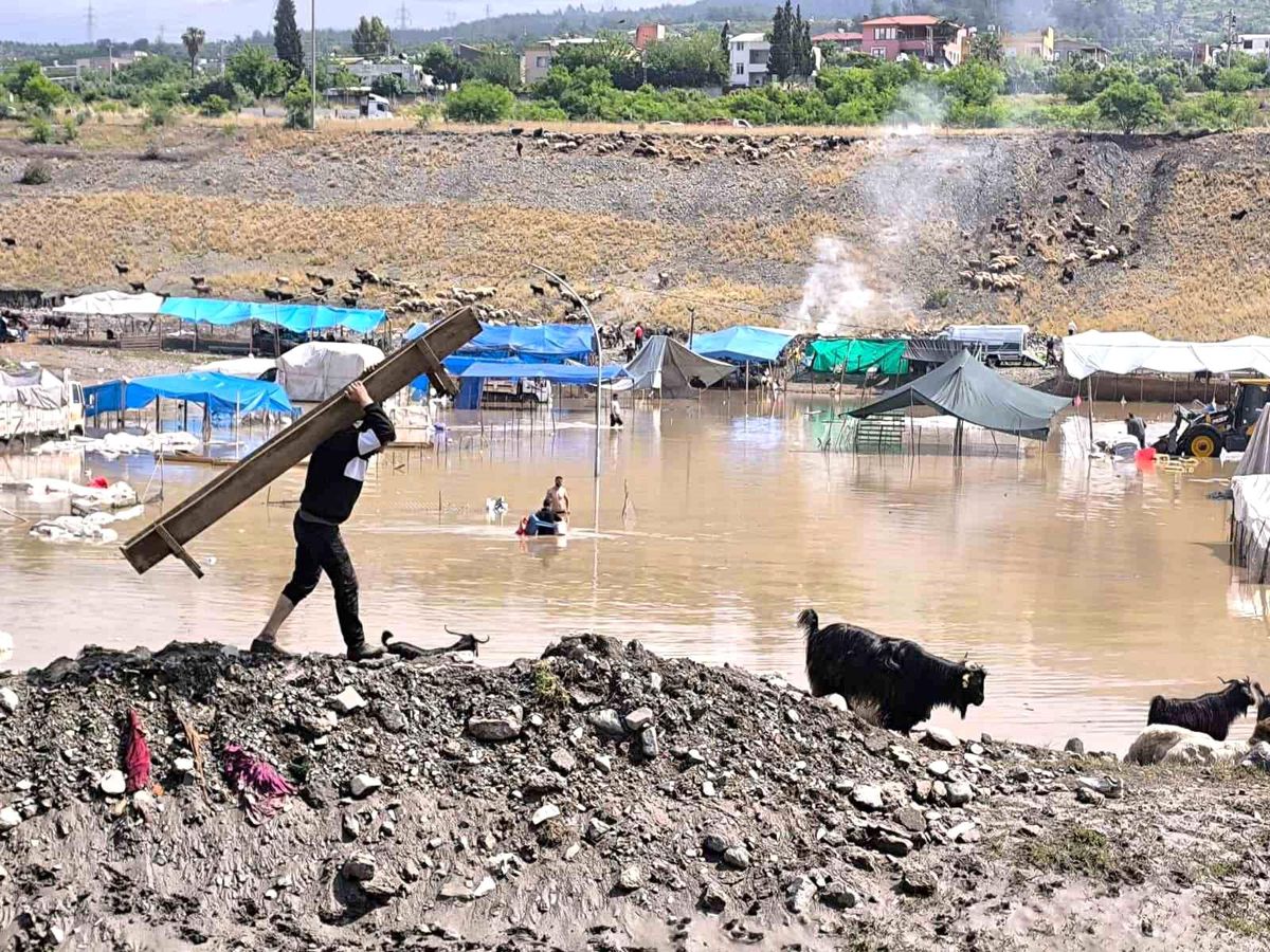 Selle birlikte sular altında kalan pazarda hayvanları kurtarmak için çalışmalar sürüyor