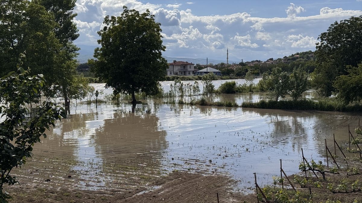Tokat'ın Erbaa ilçesinde taşkın nedeniyle tarım alanlarını su bastı