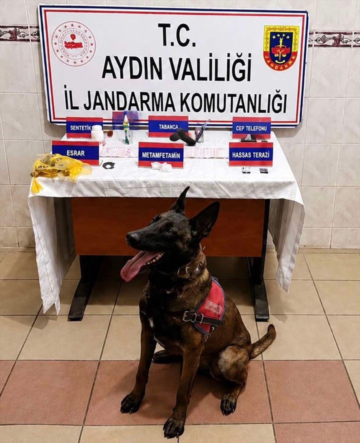 Aydın'da uyuşturucu operasyonunda yakalanan şüpheli tutuklandı