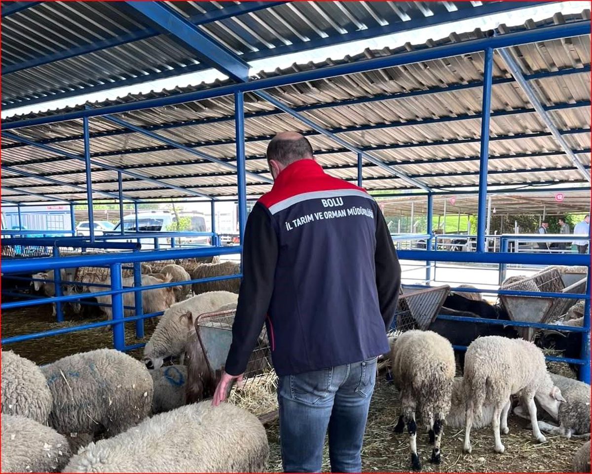 Bolu'da kurban pazarlarına yönelik denetim yapıldı