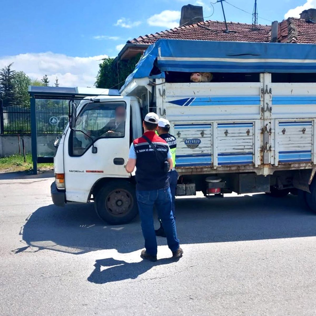 Bolu'da kurbanlık nakil araçları kontrol edildi