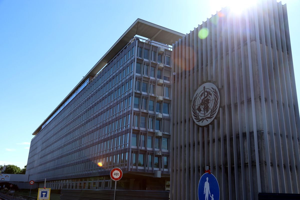 Dsö: Hantavirüs Salgınında Vaka Sayısı 12'ye Yükseldi