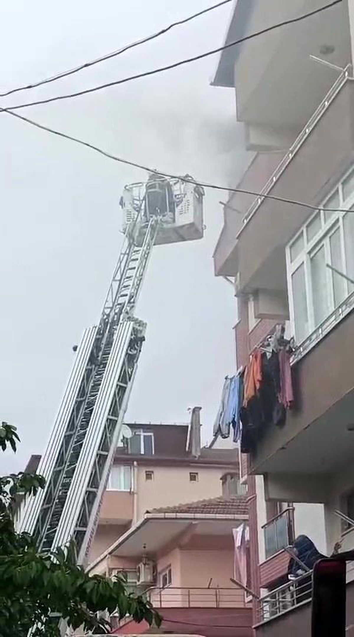 Terasta yangın paniği