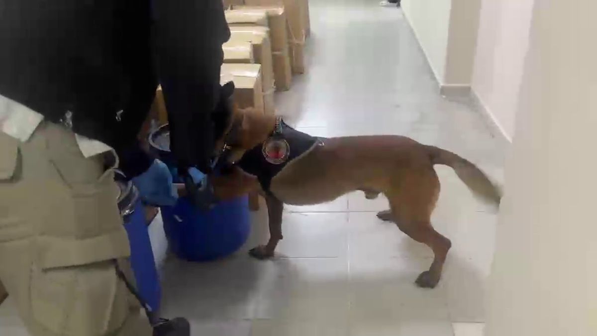 40 milyon hap üretebilecek 1 ton uyuşturucu ham maddesi ele geçirildi