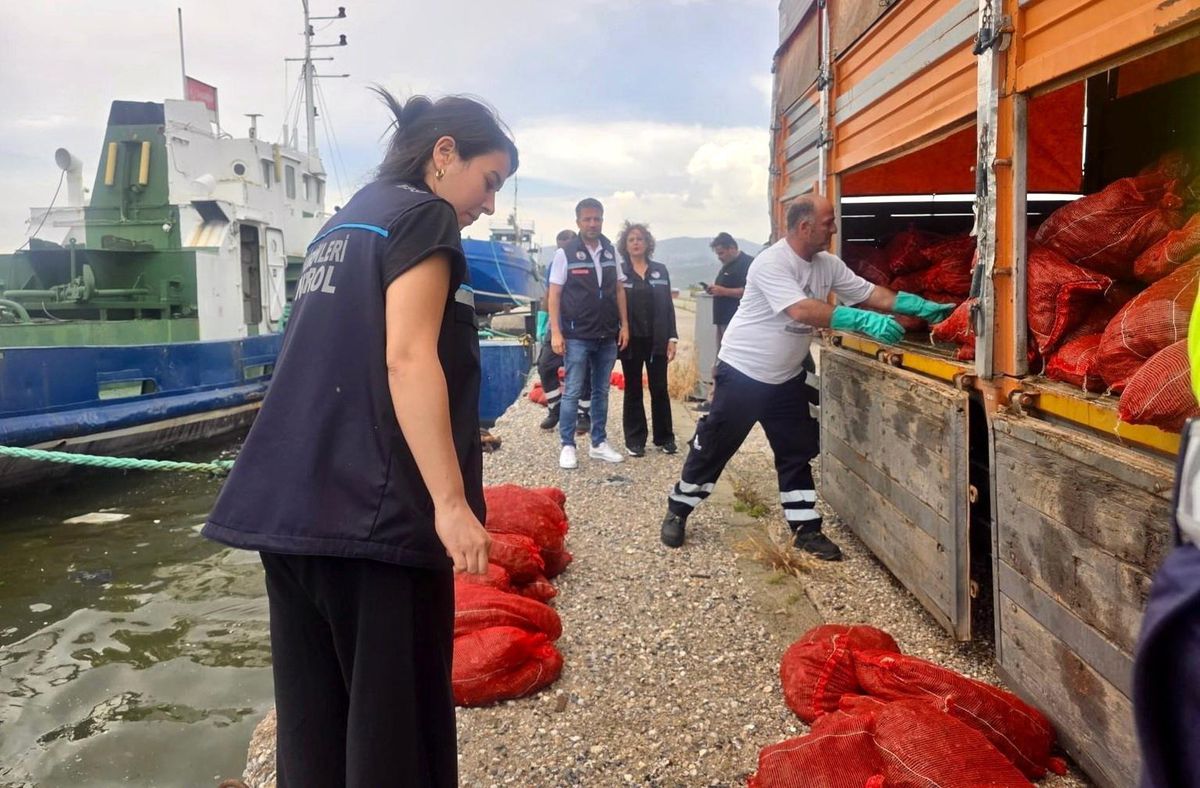 İzmir'de yasa dışı su ürünleri avcılarına ağır darbe: 7 ton kaçak midye ele geçirildi